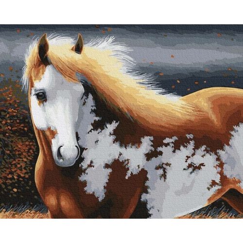 Gyors, mint a szél - Számos kifestő keretre feszítve (40x50 cm)