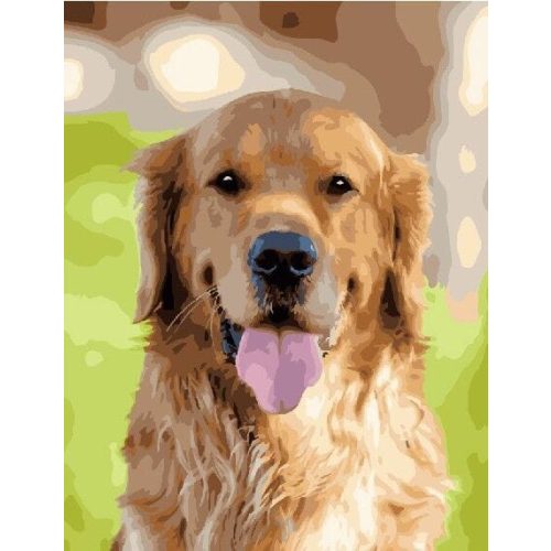 Boldog labrador - Számos kifestő keretre feszítve (40x50 cm)