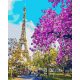 Virágzó Párizs - Számos kifestő keretre feszítve (40x50 cm)