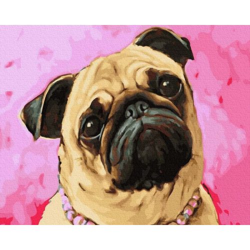 Kedvenc mopsz - Számos kifestő keretre feszítve (40x50 cm)