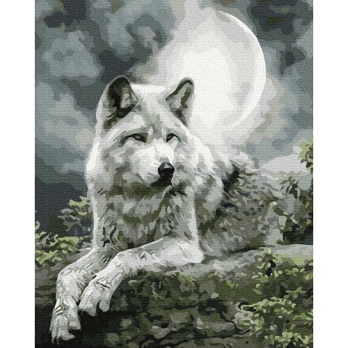 Éjszakai vadász - Számos kifestő keretre feszítve (40x50 cm)