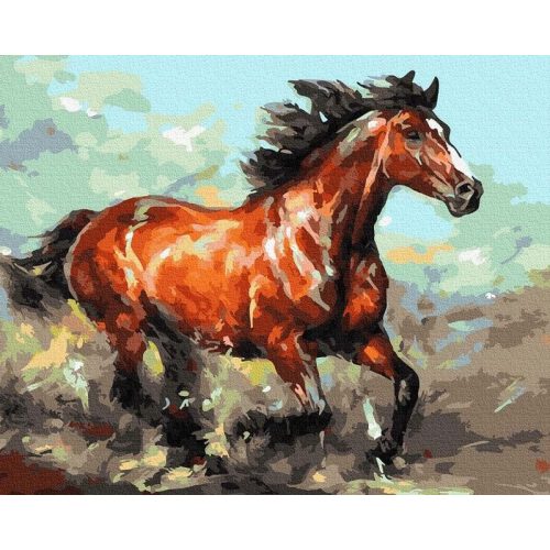Vágtázó szépség - Számos kifestő keret nélkül ( 40x50 cm )