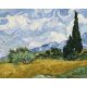Van Gogh 9 - Számos kifestő keretre feszítve (40x50 cm)