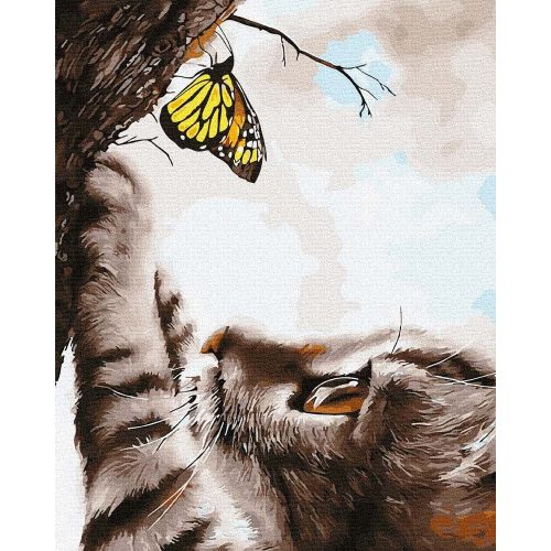 Cica és pillangó - Számos kifestő keretre feszítve (40x50 cm)