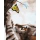 Cica és pillangó - Számfestő keretre feszítve (40x50 cm)