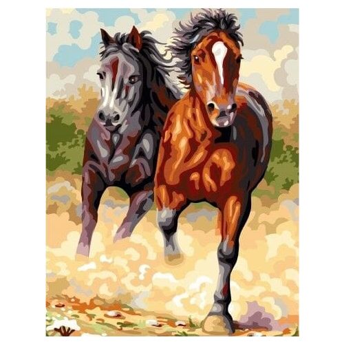 Rohanó lovak - számfestő készlet, keretre feszítve ( 40x50 cm )
