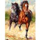 Rohanó lovak - számfestő készlet, keretre feszítve ( 40x50 cm )