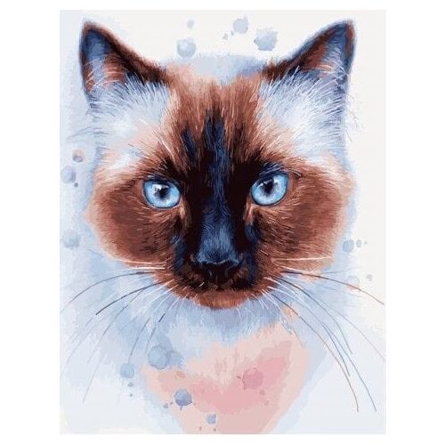 Sziámi macska - számfestő készlet, keretre feszítve ( 40x50 cm )