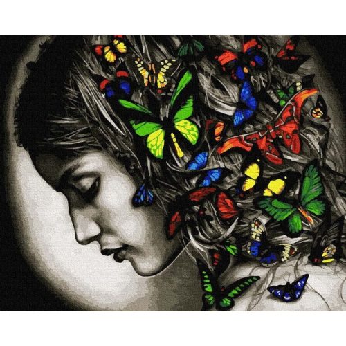Színes pillangók - Számfestő keretre feszítve (40x50 cm)