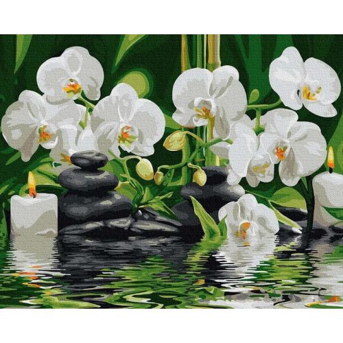 Vízi Orchideák - számfestő készlet, keretre feszítve ( 40x50 cm )