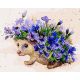 Sündisznó és búzavirágok - számfestő készlet, keretre feszítve ( 40x50 cm )