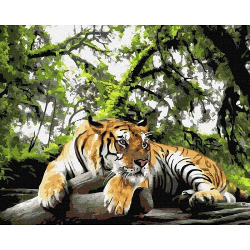 A dzsungel ura - Számfestő keretre feszítve (30x30 cm)