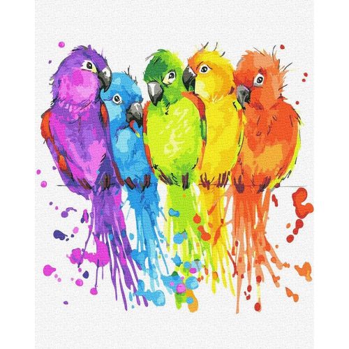 Színes papagájok - Számos kifestő keretre feszítve (40x50 cm)