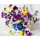Nyári virágok - Számos kifestő keretre feszítve (40x50 cm)
