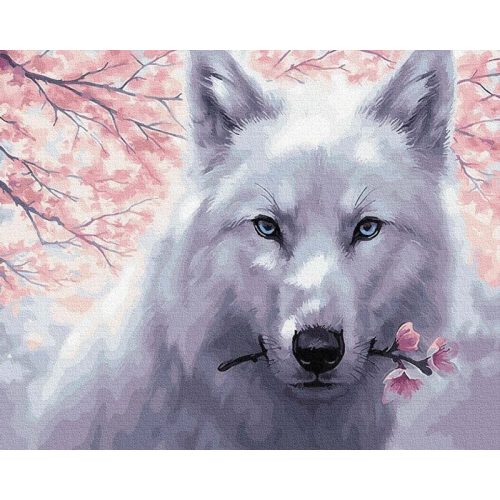 Fehér farkas - számfestő készlet, keretre feszítve ( 40x50 cm )