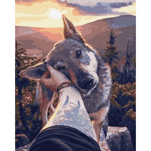 Hűséges barátom - Számos kifestő keretre feszítve (40x50 cm)