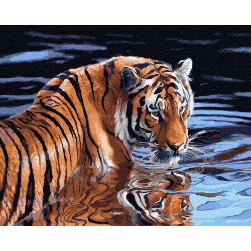Tigris és víz - Számos kifestő keretre feszítve (40x50 cm)
