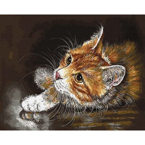 Lustaság - Számos kifestő keret nélkül ( 40x50 cm )