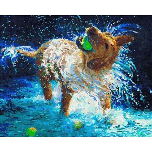 Boldogság - Számos kifestő keretre feszítve (40x50 cm)
