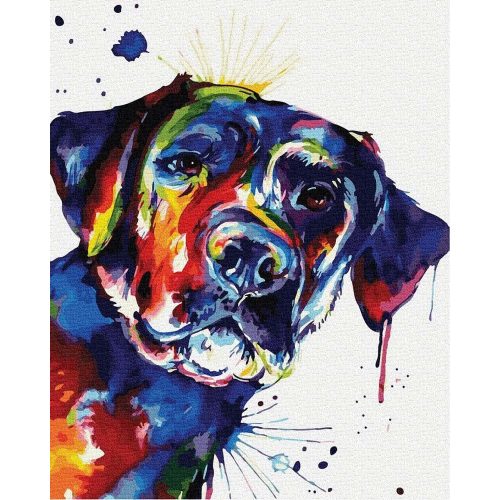 Színes kutya - Számos kifestő keretre feszítve (40x50 cm)