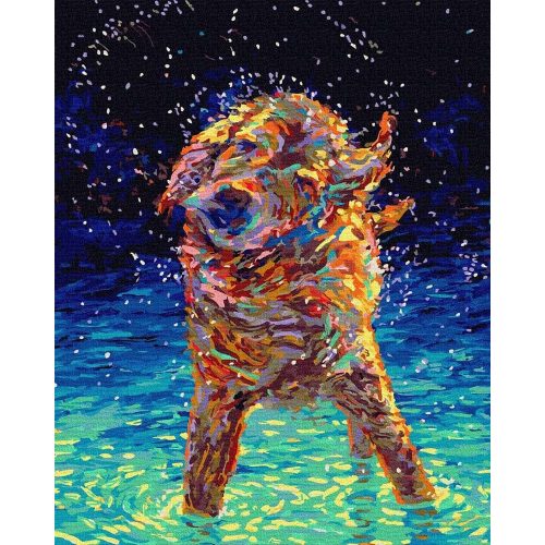 Színes zuhany - Számos kifestő keretre feszítve (40x50 cm)
