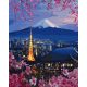 Fujiyama és Sakura - számfestő készlet, keretre feszítve ( 40x50 cm )