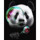 Álmodozó panda - számfestő készlet, keretre feszítve ( 40x50 cm )