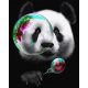 Álmodozó panda - Számos kifestő keretre feszítve (40x50 cm)
