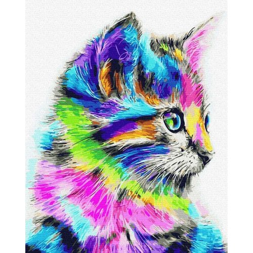 Hologram macska - Számos kifestő keretre feszítve (40x50 cm)