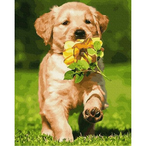 Kutya virággal - Számfestő keretre feszítve (40x50 cm)