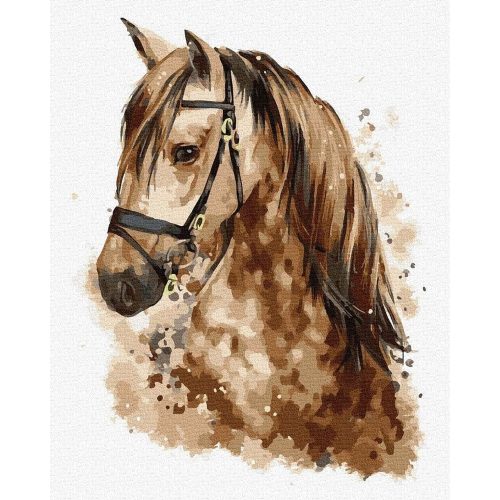 Gyönyörű ló - számfestő készlet, keretre feszítve ( 40x50 cm )