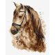 Gyönyörű ló - Számos kifestő keretre feszítve (40x50 cm)