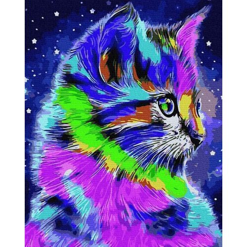Színes macska - Számfestő keretre feszítve (40x50 cm)