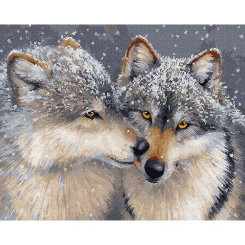 Szerelem a farkasok között - Számos kifestő keretre feszítve (40x50 cm)