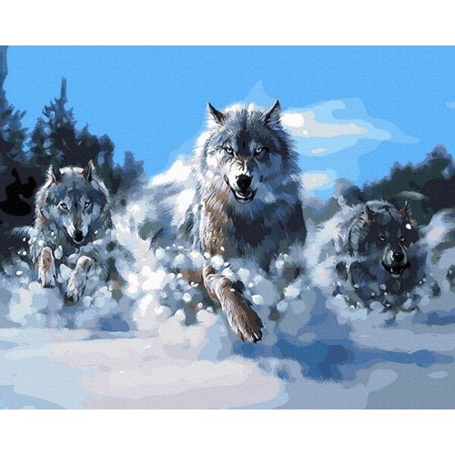 Törekvésben - Számos kifestő keretre feszítve (40x50 cm)