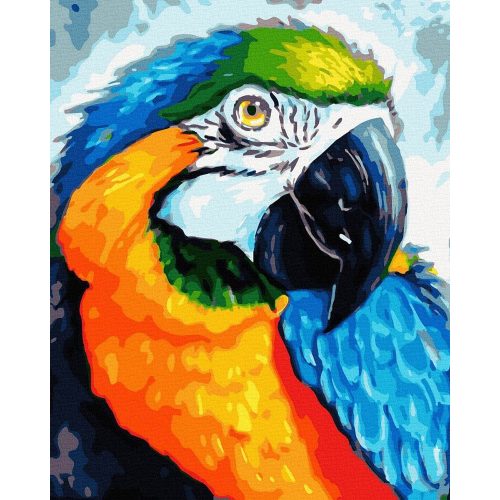 Színes papagáj - Számos kifestő keretre feszítve (40x50 cm)