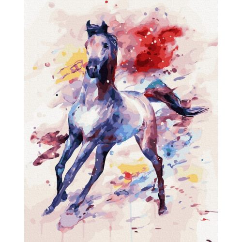 Vágtató ló - Számos kifestő keretre feszítve (40x50 cm)
