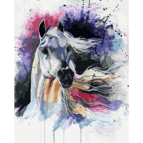 Arab ló - Számos kifestő keretre feszítve (40x50 cm)