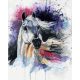 Arab ló - számfestő készlet, keretre feszítve ( 40x50 cm )