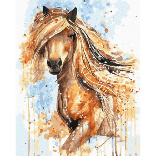 Arany sörény - Számos kifestő keretre feszítve (40x50 cm)