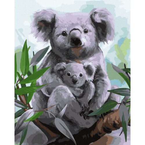 Koala - Számos kifestő keretre feszítve (40x50 cm)