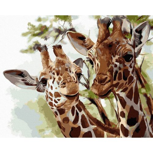 Zsiráfok - Számfestő keretre feszítve (40x50 cm)