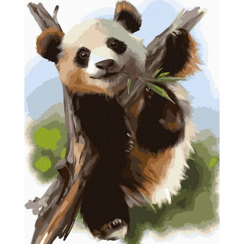 Bambusz medve - Számfestő keretre feszítve (40x50 cm)