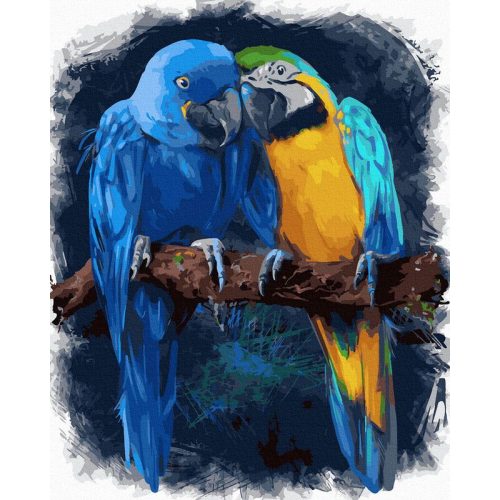 Színes papagájok 2 - Számos kifestő keretre feszítve (40x50 cm)