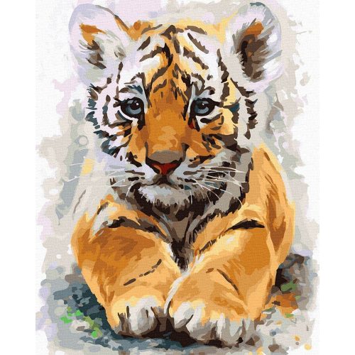 Édes tigris - számfestő készlet, keretre feszítve ( 40x50 cm )