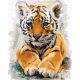 Édes tigris - Számfestő keretre feszítve (40x50 cm)