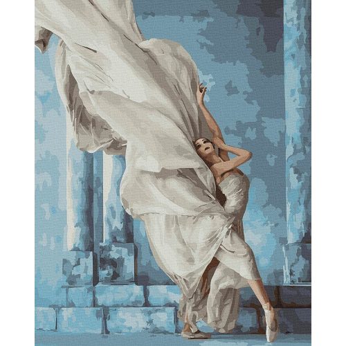 Titokzatos balett - Számfestő keretre feszítve (40x50 cm)