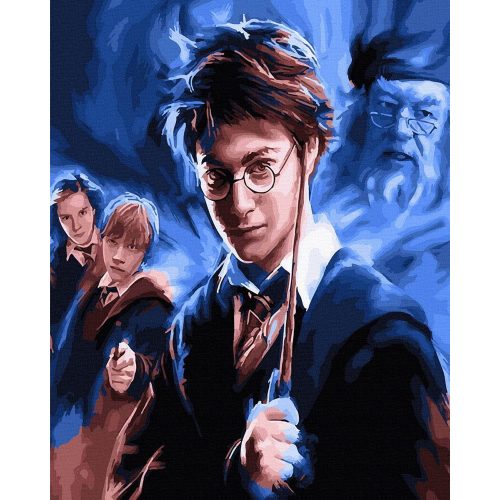 Harry Potter 2 - Számfestő keretre feszítve (40x50 cm)