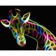 Neon zsiráf - Számfestő keretre feszítve (40x50 cm)