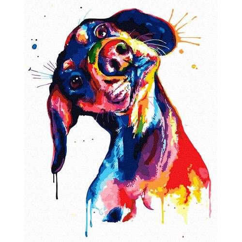 Színes kutya - Számfestő készlet, keretre feszítve (40x50 cm)